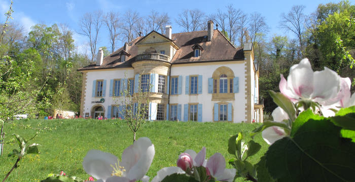 Restaurantsterrasse in Champ-Pittet