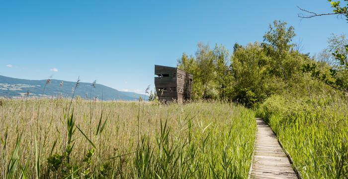 Tour d'observation 2022 - Raphaël Dupertuis