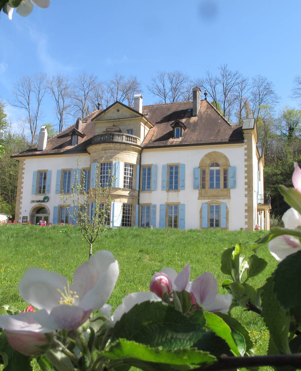 Restaurantsterrasse in Champ-Pittet